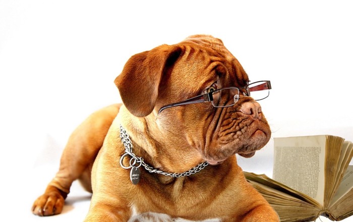 Proofreading is important